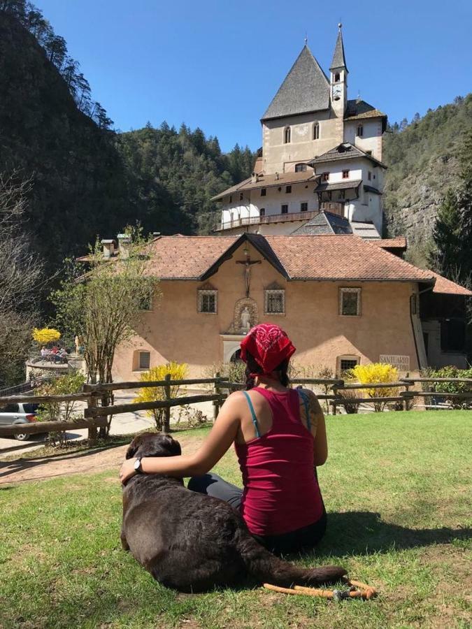 Casa Streberi Apartment Castelfondo Екстериор снимка